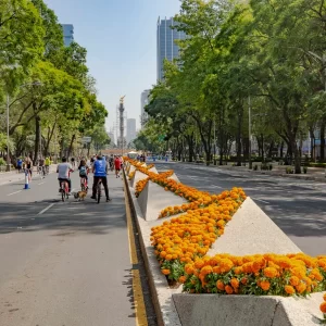 Avenida Reforma, Ciudad de México, Clima de Ciudad de Mexico. Foto por @ Kiko Kairuz.