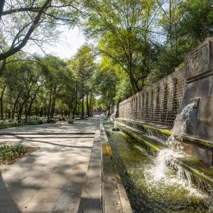 Parque de Chapultepec, primera sección, Ciudad de México CDMX. Fotografía por © Kiko Kairuz 2024