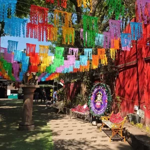 Coyoacán CDMX, Ciudad de México