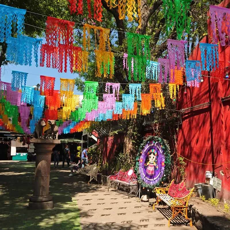 CDMX CURATED MAP 2026 CityMapps™ | Powered by UBER 23 Coyoacán, Mexico CIty. Photograph by © Kiko Kairuz