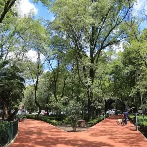 Parque Mexico, La Condesa - Hipódromo, Ciudad de México. Fotografía por © Kiko Kairuz