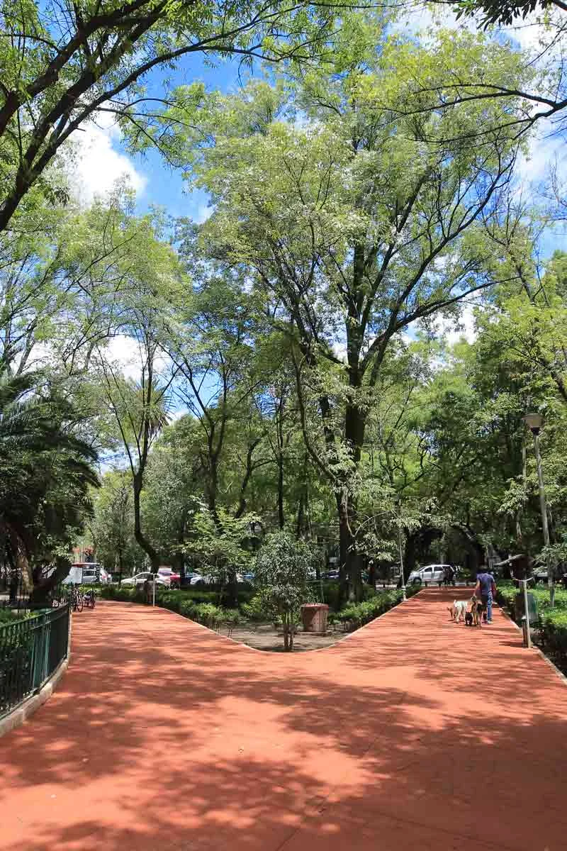 Parque Mexico, La Condesa - Hipódromo, Ciudad de México. Fotografía por © Kiko Kairuz