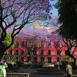 Plaza Santa Catarina - Centro Histórico - Ciudad de México CDMX - Foto por © Kiko Kairuz 2024