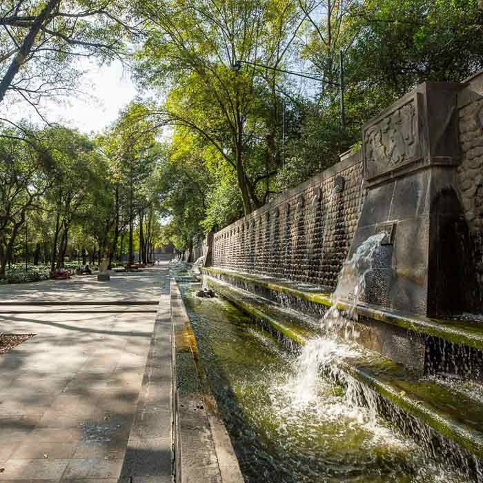 Bosque de Chapultepec, Sección 1, Mapa de Ciudad de México. Foto: © Kiko Kairuz