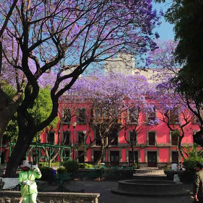 Plaza Santa Catarina, Centro histórico de Ciudad de México, Mapa de Ciudad de México. Foto de @ Kiko Kairuz