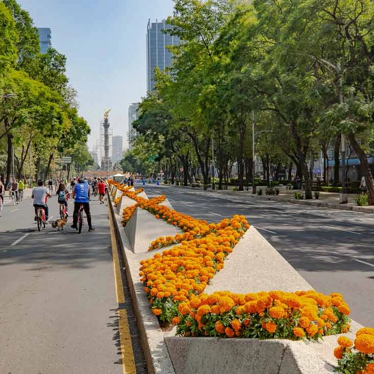 Avenida Reforma, Ciudad de México, Foto de @ Kiko Kairuz